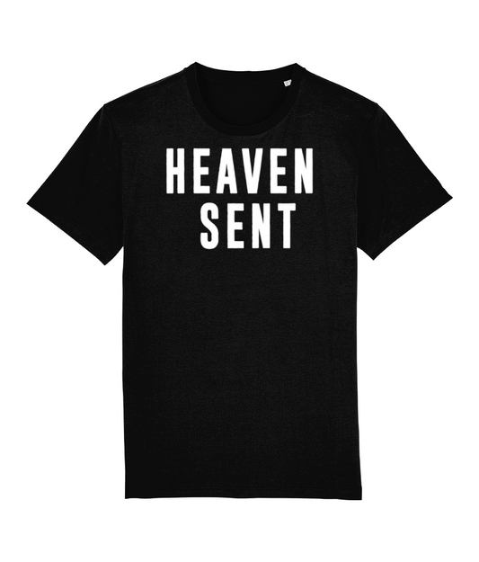 Heaven Sent / Hell Bent Doctor Who Organic T-Shirt
